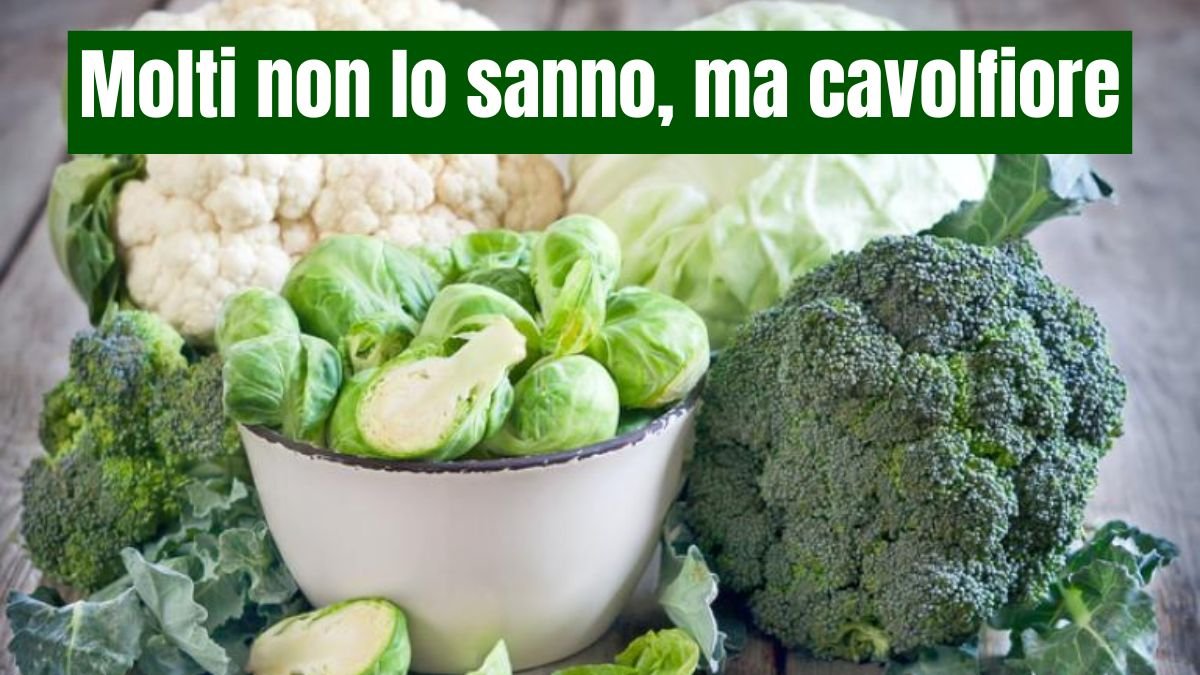 Molti non lo sanno, ma cavolfiore, broccoli e cavolo sono in realtà diverse varietà della stessa pianta