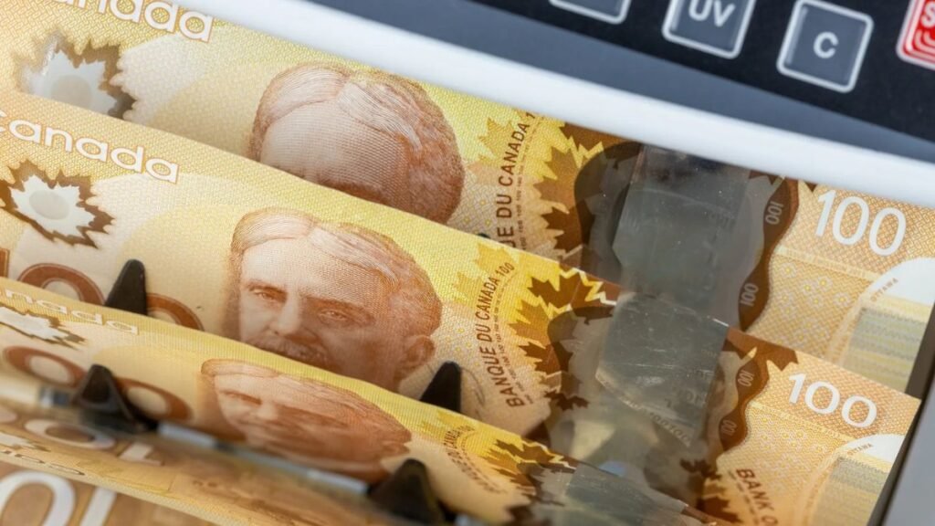 How ​​to Check Your Payment Information?