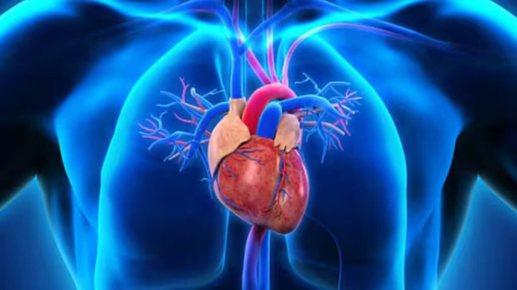 Ni caminar ni bicicleta fija: el ejercicio ideal para cuidar tu corazón y mejorar la circulación